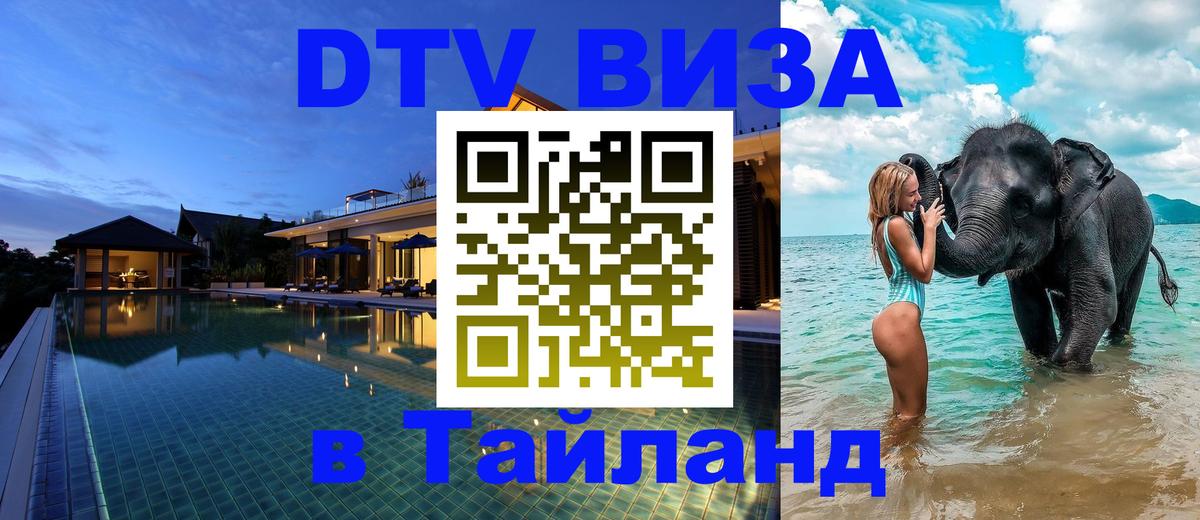 Оформление DTV визы под ключ: стоимость и тарифы, только загранпаспорт - 